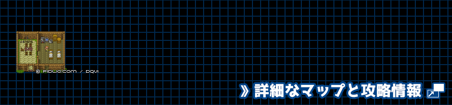 【現実の世界】森の宿屋北東の家の簡易マップ画像 ／ SFC版ドラゴンクエスト6攻略 ─ pidlio.com